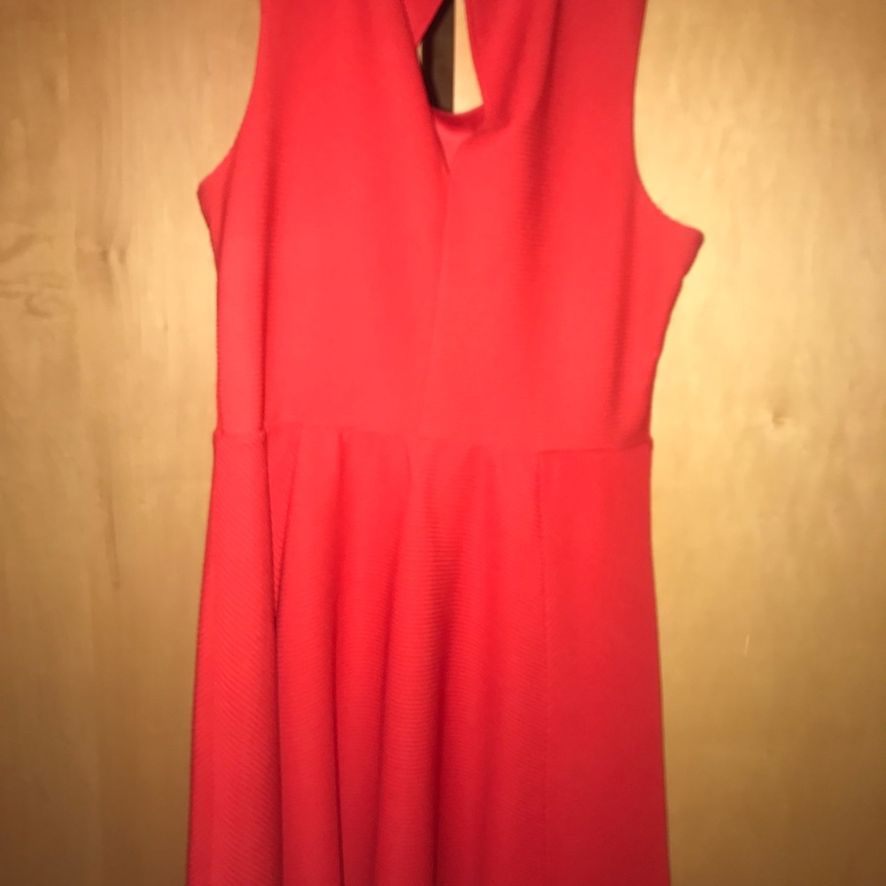 Express Red Ribbed Dress - Picture 5 of 5